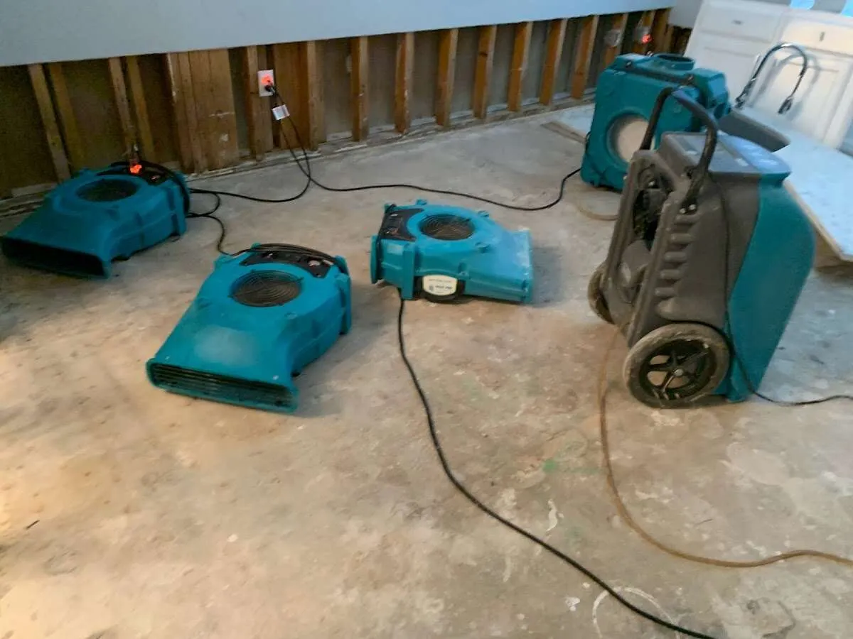 Water Damage Restoration services in Webb City, MO